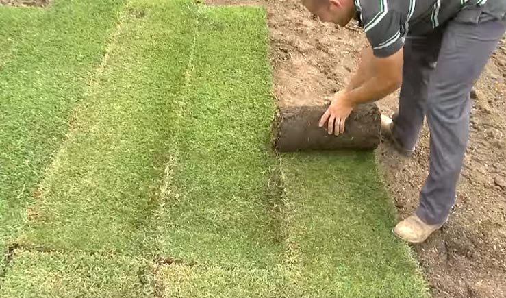 How To Lay Turf Properly