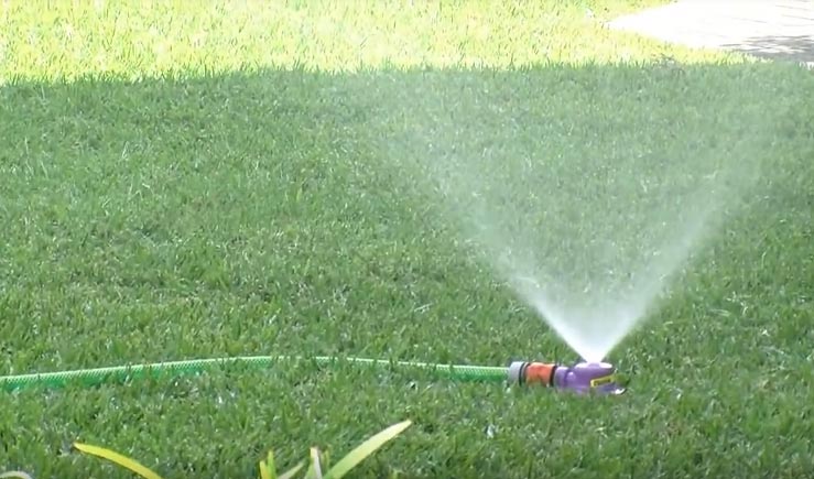 Watering And Fertilising Tips For Your Lawn