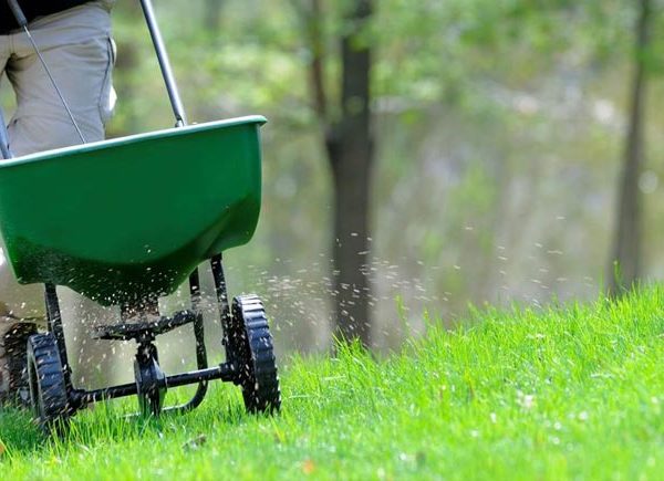 fertilising your lawn