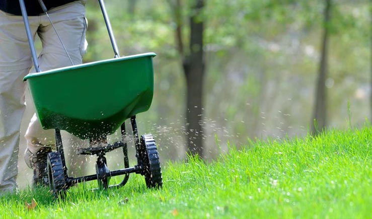 fertilising your lawn